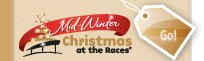 Mid-Winter Chrsitmas Link
