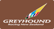 Greyhound Racing NZ
