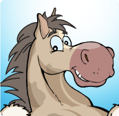 Hopples Image of Hopples the Horse